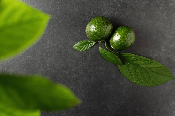 Deux Avocats Mûrs Avec Des Feuilles Sur Fond Pierre Grise — Photo