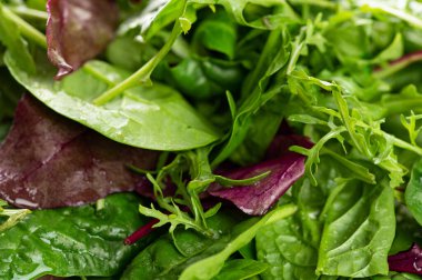 Salata karışımı taze otlar, roka, pazı, beyaz arka planda ıspanak, yakın plan.