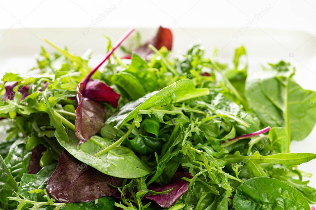 salad mix of fresh herbs, arugula, chard, spinach in a plate on a white background, close-up