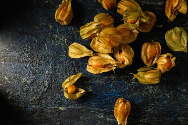 Bitki üzümleri koyu yaş arkaplan, üst görünüm, metin için boş alan üzerine dağılmış.