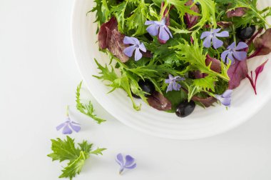 Bebek ıspanağıyla salatayı karıştır, mizuna salatası, boğa kanı filizi, yenilebilir çiçekler ve beyaz tabakta zeytinler, üst manzara, yakın çekim.