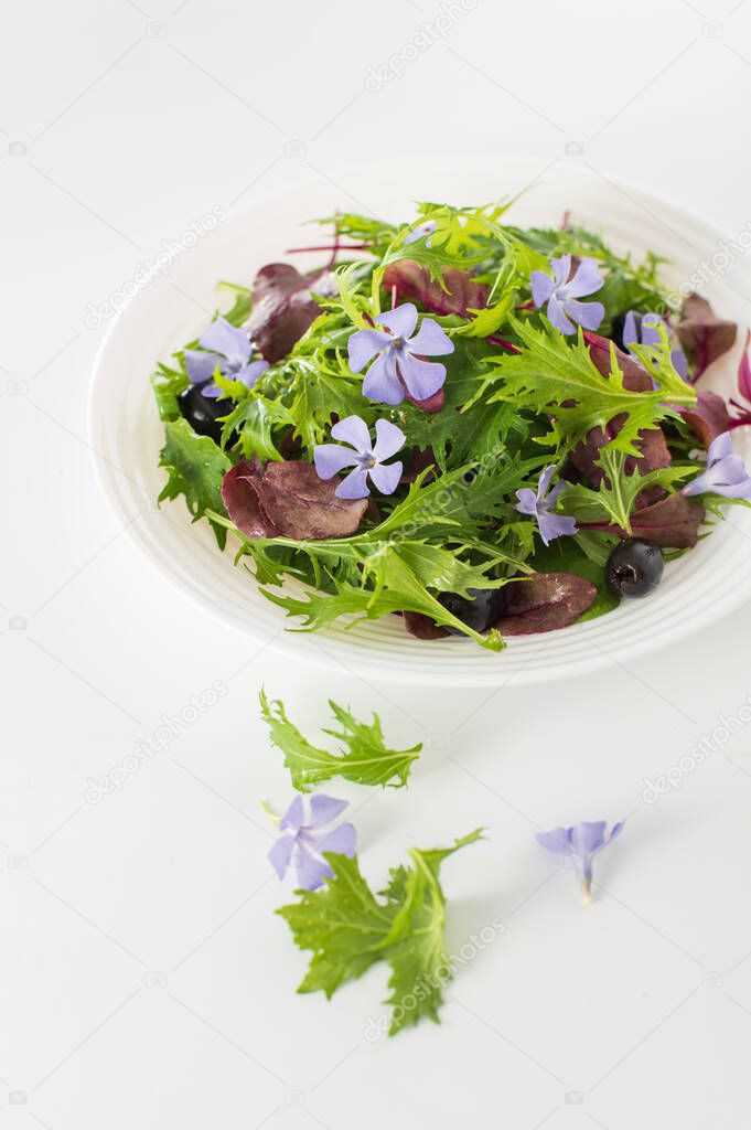 Mix salad with baby spinach, mizuna salad, bull's blood sprouts, edible flowers and olives on a light white background, vertical format