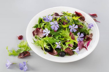 Bebek ıspanağıyla salatayı karıştır, mizuna salatası, boğa kanı filizi, açık gri arka planda yenilebilir çiçekler ve zeytinler, üst taraftaki manzara, yakın plan.