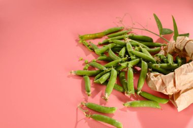 Kabuklu yeşil bezelyeler, pembe arkaplandan yeni seçilmiş, üst görünüm, metin için boş alan