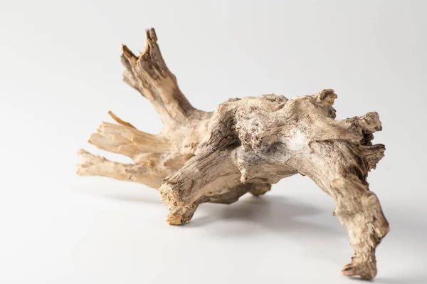 Διακοσμητικά Driftwood Ξηρό Κλαδί Λευκό Φόντο — Φωτογραφία Αρχείου