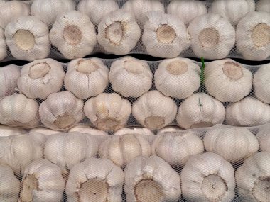 Perakende için sarımsaklı ampuller