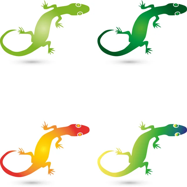 Logo, Echse, salamandra, Gecko, poziomu — Wektor stockowy