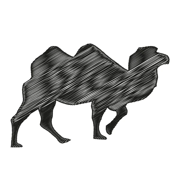 Kamel, silhueta, nível, logotipo —  Vetores de Stock
