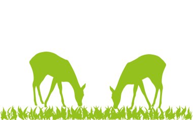 Tiere, Hirsche, Wiese, Hintergrund