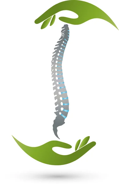 Spine, two hands, orthopedics, Logo — Stock Vector