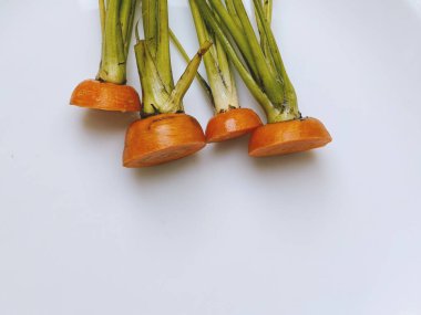 Havuç kafalılar, beyaz tabakta. Hafif arkaplan. Çevreye duyarlı davranış, ekolojik, geri dönüşümlü atık kavramı. Sıfır kayıp. sürdürülebilir tüketim ve bilinçli tüketim. dizinin bir parçası.