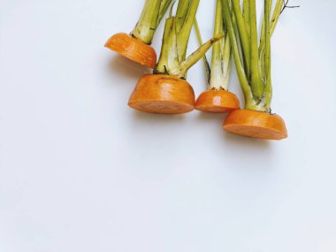 Havuç kafalılar, beyaz tabakta. Hafif arkaplan. Çevreye duyarlı davranış, ekolojik, geri dönüşümlü atık kavramı. Sıfır kayıp. sürdürülebilir tüketim ve bilinçli tüketim. dizinin bir parçası.