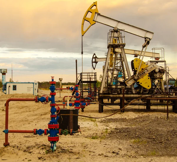 Jack bomba y cabeza de pozo en el campo petrolífero . — Foto de Stock