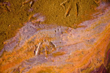 Gökkuşağı yağ tabakası