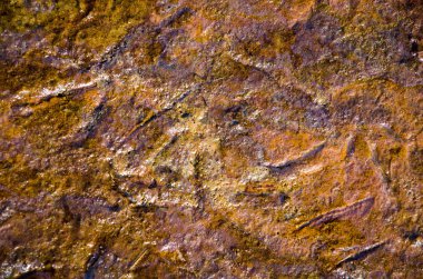 Gökkuşağı yağ tabakası