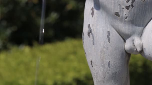 Standbeeld, fontein, naakte jongen in wiens rkuvh twee vis — Stockvideo