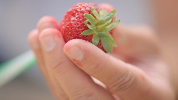 Erdbeere mit einem durchgehenden Loch innen — Stockvideo