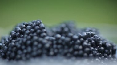 küçük yuvarlak metal Tin buz üzerinde siyah havyar