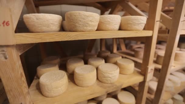 Parmesan matures on wooden and metal shelves — Stock Video