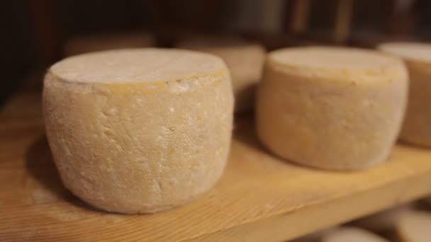 Parmesan mûrit sur des étagères en bois et en métal — Video