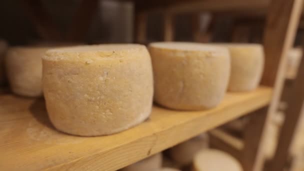 Parmesan mûrit sur des étagères en bois et en métal — Video