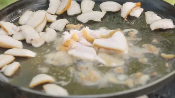 Lard in a frying pan — Stock Video