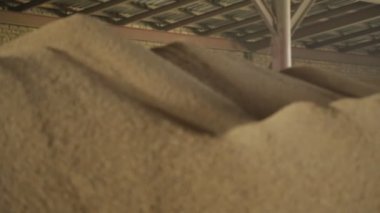 Pirinç Metal çöp dağ gıda