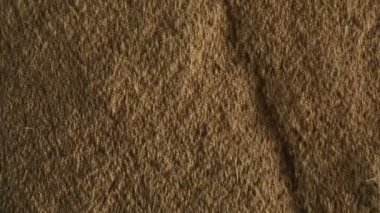 Pirinç Metal çöp dağ gıda