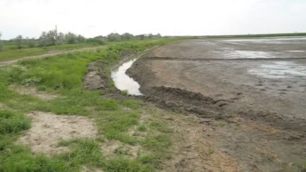 水坑里的水在一片稻田 — 图库视频影像