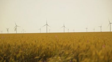 Rüzgar Türbini yaz buğday alan