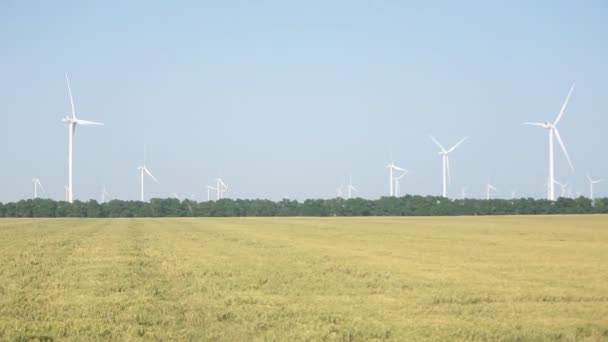 Вітряна турбіна на пшеничному полі влітку — стокове відео