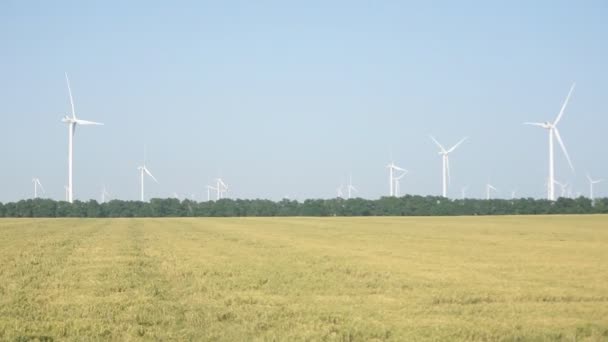 Éolienne sur un champ de blé en été — Video