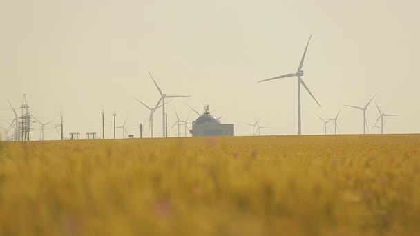 Éolienne sur un champ de blé en été — Video