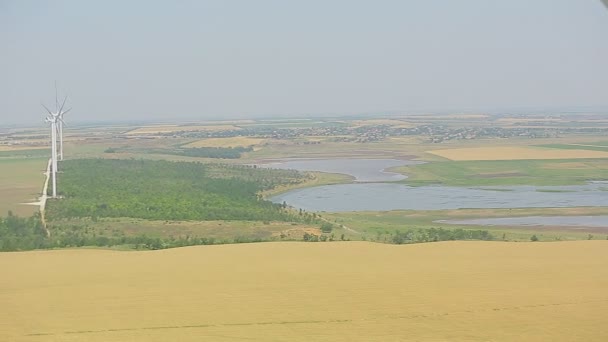 A nyáron egy Búzamező szélturbina Stock Felvétel