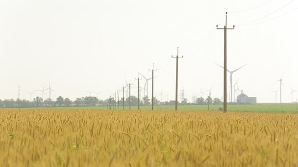 Windkraftanlage auf einem Weizenfeld im Sommer — Stockvideo