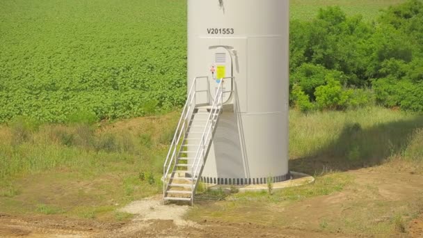 Turbina eólica en un campo de trigo en el verano — Vídeo de stock