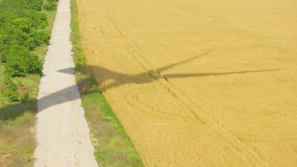 Větrná turbína na poli pšenice, v létě — Stock video