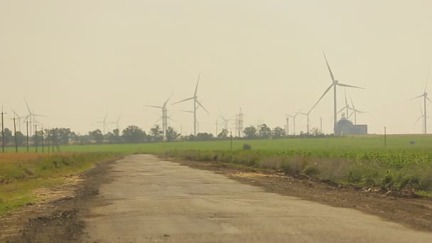 Windturbine op een tarweveld in de zomer — Stockvideo