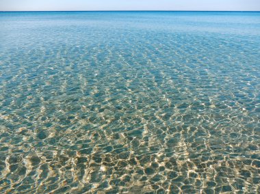 Punta Prosciutto - Punta Grossa'da plaj, deniz ve düşük kristal deniz tabanı manzarası