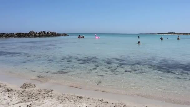 Torre Guaceto - Panoramica dalla spiaggia di Punta Penna Grossa — Stockvideo