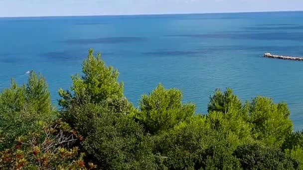 Peschici Puglia Italy October 2019 Overview Village Coastal Road — 图库视频影像