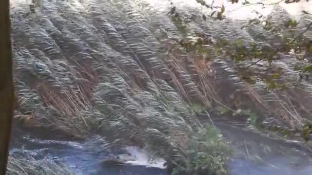 Terni Umbria Itálie Září 2019 Detail Posledního Úseku Marmorových Vodopádů — Stock video