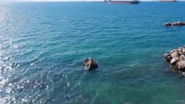 Taranto Puglia Itália Novembro 2019 Estátua Cimento Marinho Sereia Skuma — Vídeo de Stock