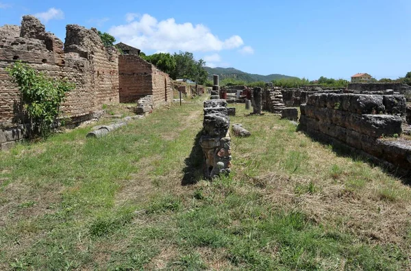 Velia Campania Italy June 2020 Archaeological Park Paestum Velia — 图库照片