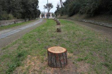 Naples, Campania, Italy - February 24, 2020: Parco Virgiliano, or Parco delle Rimembranze, on the Posillipo hill clipart