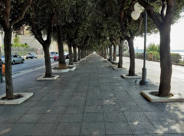 Taranto Puglia Itália Novembro 2019 Passeio Arborizado Vittorio Emanuele Iii — Fotografia de Stock