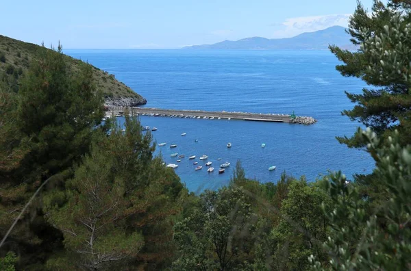 Palinuro Campania Italia Junio 2020 Panorama Del Puerto Desde Sentiero — Foto de Stock