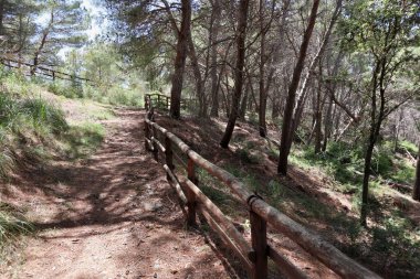 Palinuro, Campania, İtalya - Haziran 2020: Limanı deniz fenerine bağlayan Capo Palinuro 'daki kulelerin ve kalelerin kıyı yolu