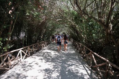 Syracuse, Sicilya, İtalya - 25 Ağustos 2020: Neapolis Arkeoloji Parkı 'ndaki Latomie del Paradiso yoluna çıkan turistler