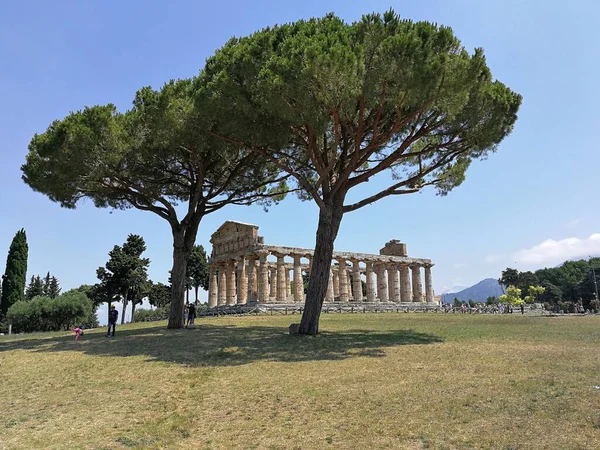 Paestum Salerno Campania Itália Julho 2018 Templo Athena Parque Arqueológico — Fotografia de Stock